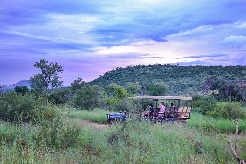 Madikwe