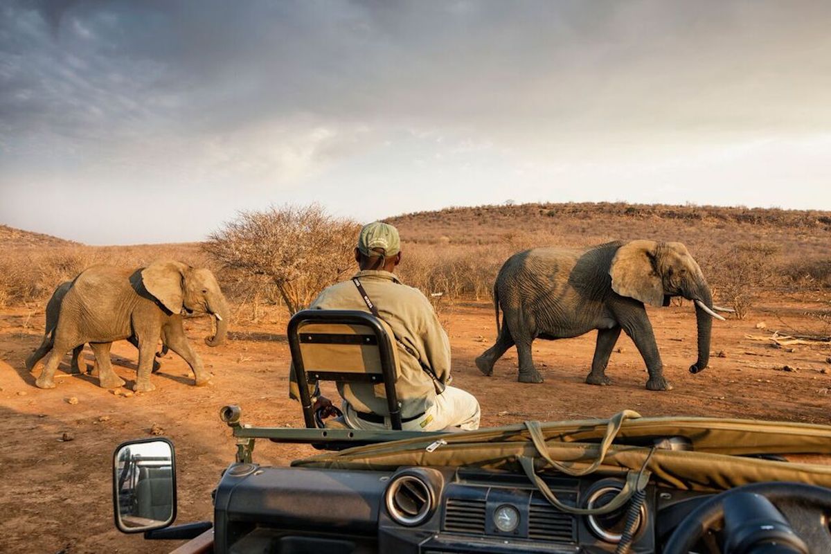 IMPODIMO GAME LODGE