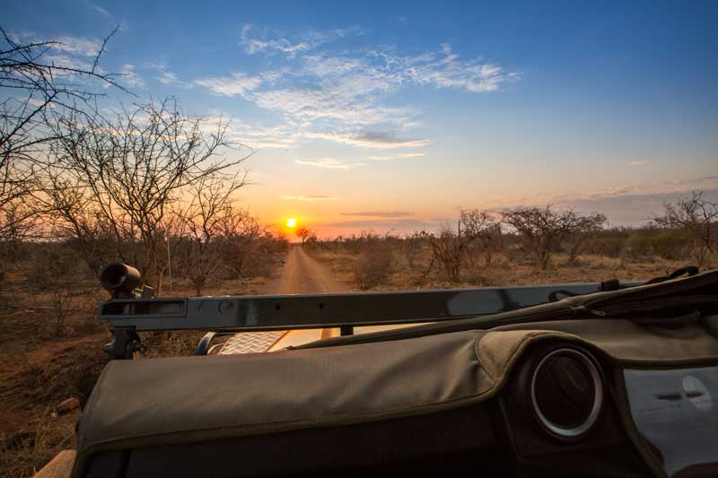 MOSETLHA BUSH CAMP & ECO LODGE
