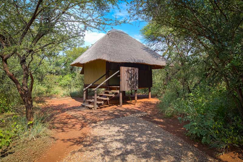 MOSETLHA BUSH CAMP & ECO LODGE