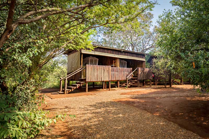 MOSETLHA BUSH CAMP & ECO LODGE