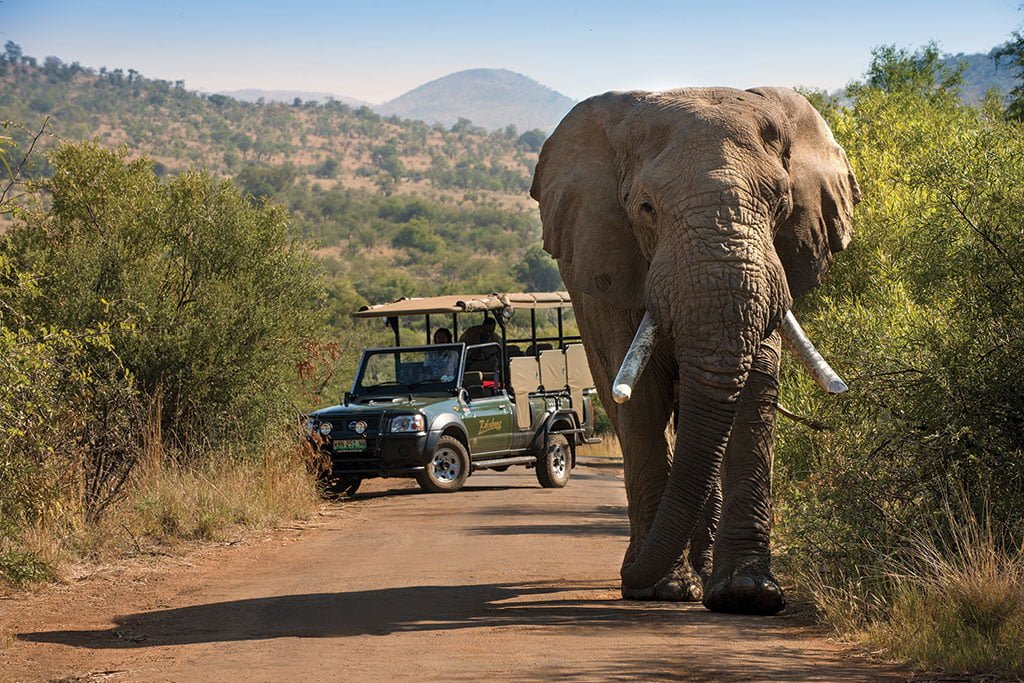 BAKUBUNG BUSH LODGE