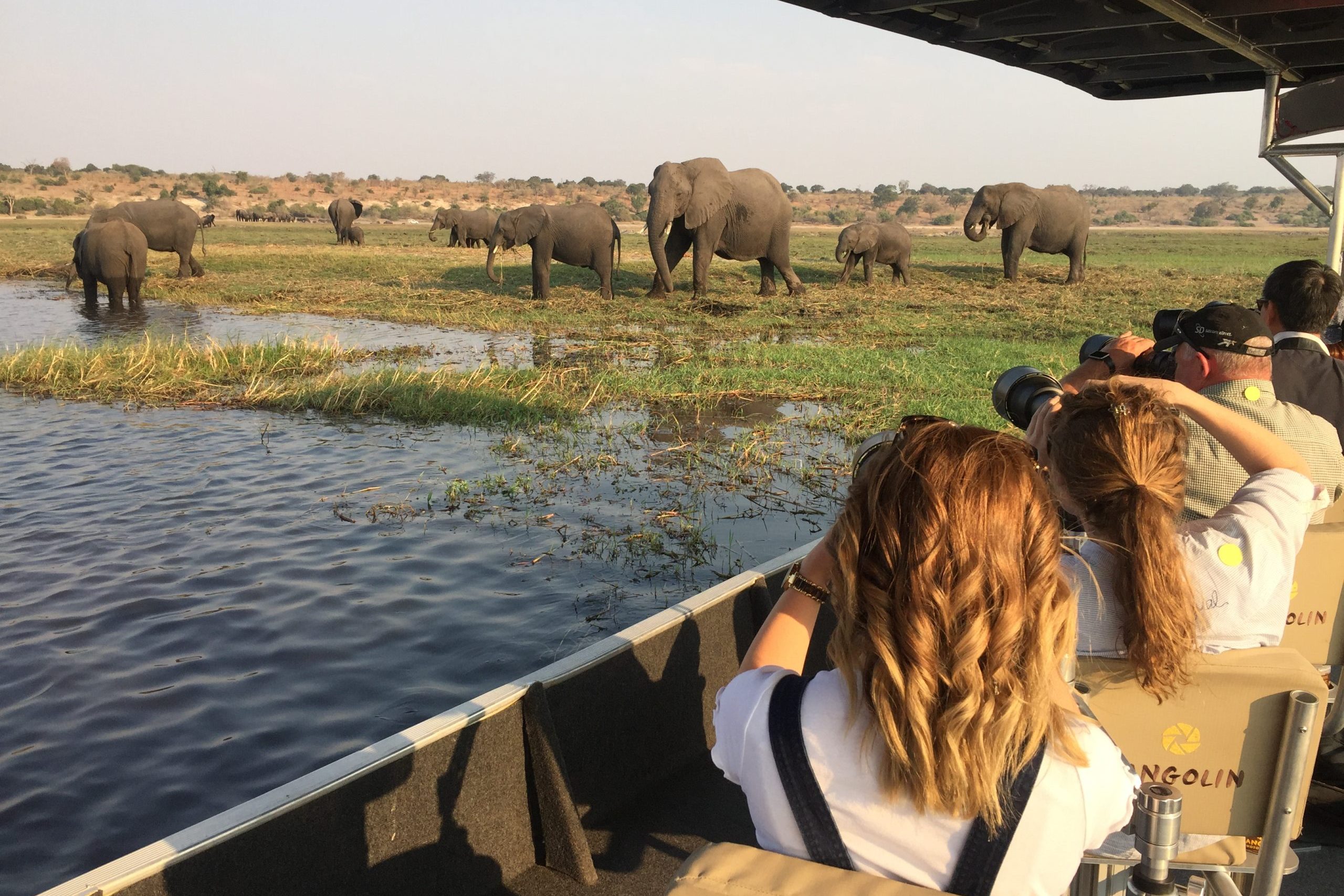 Photographic Safaris