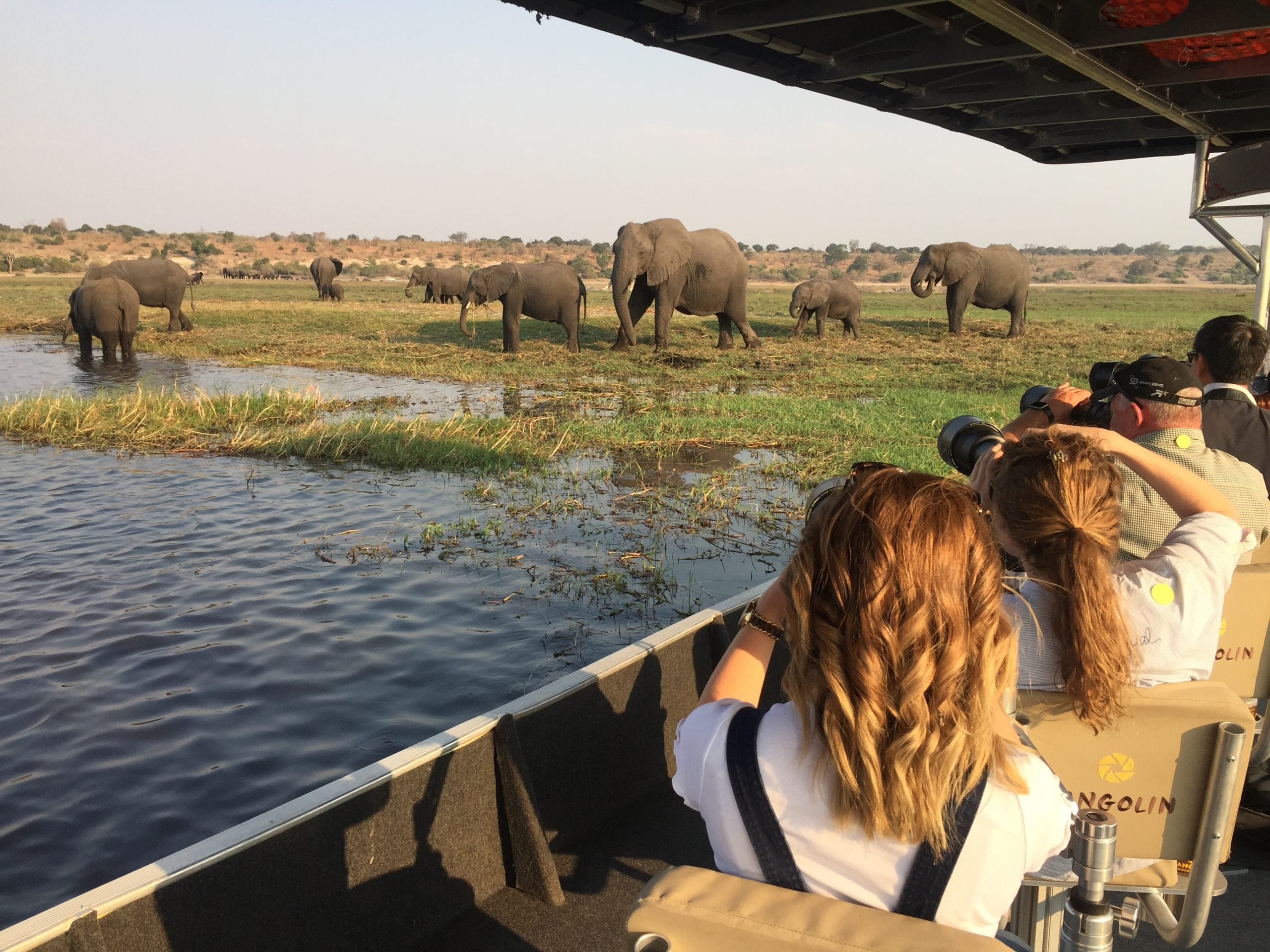 Photographic Safari