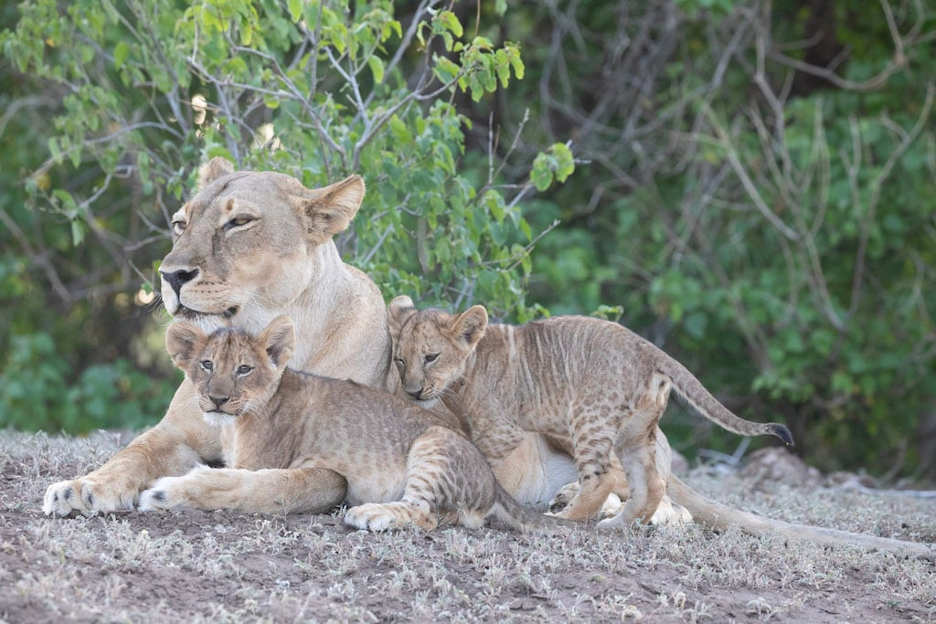 Botswana