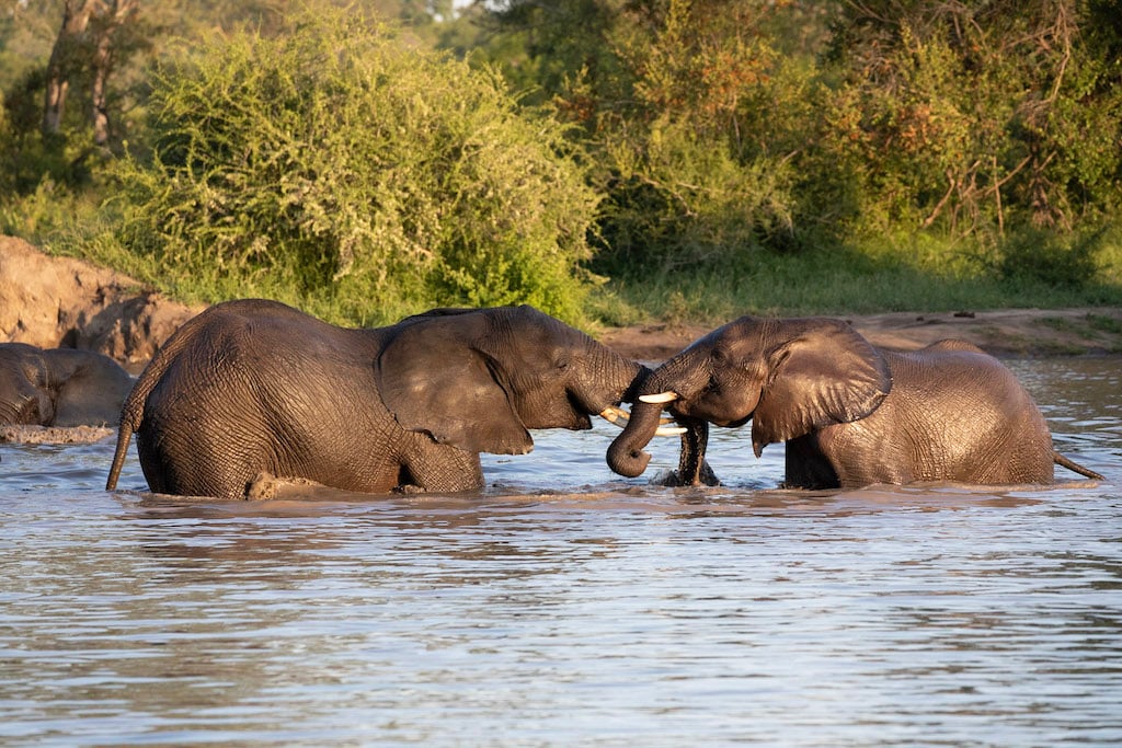 Botswana
