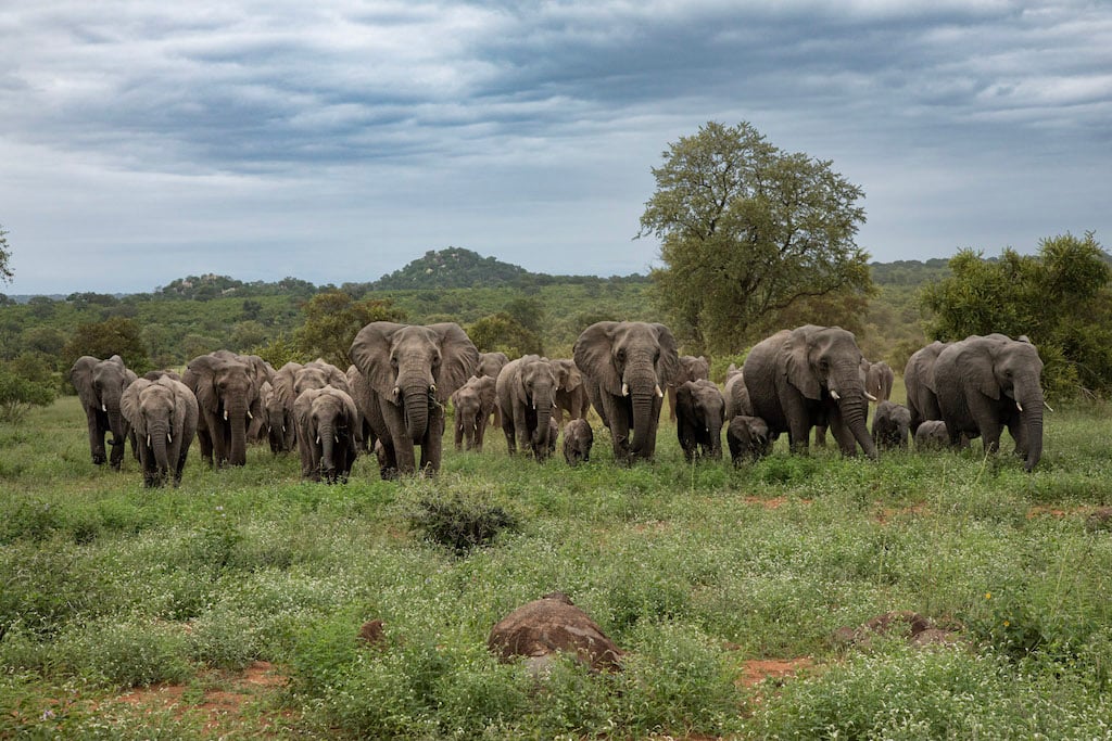 Botswana