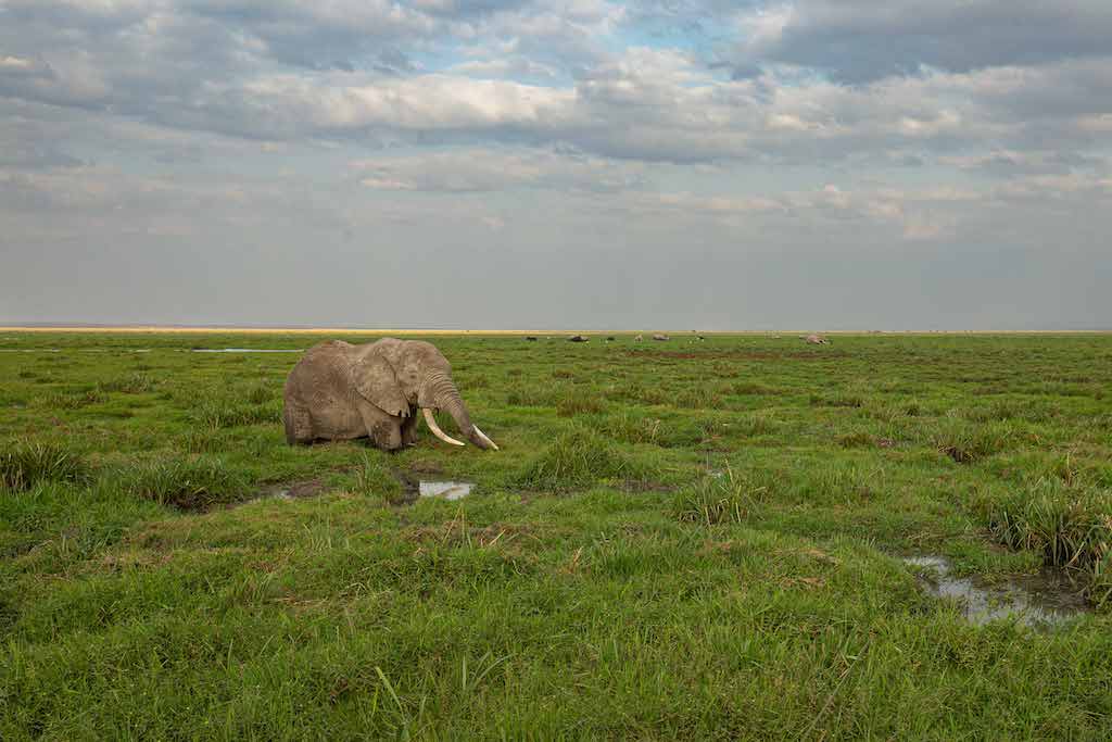 Kenya