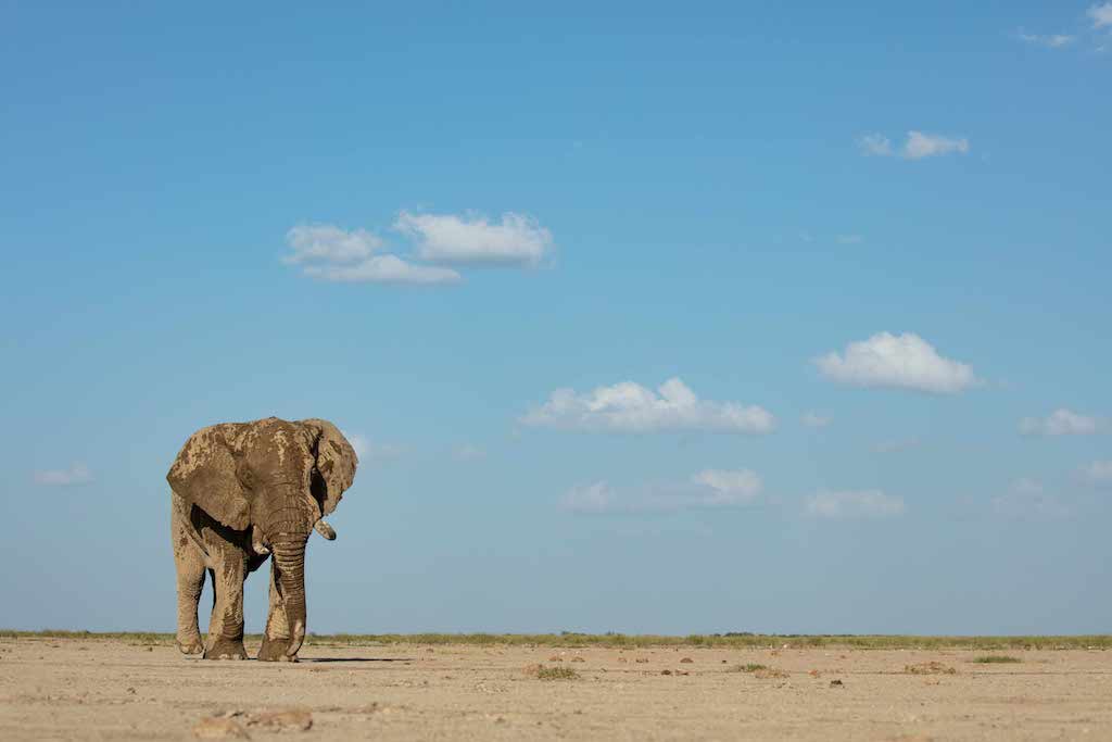 Kenya