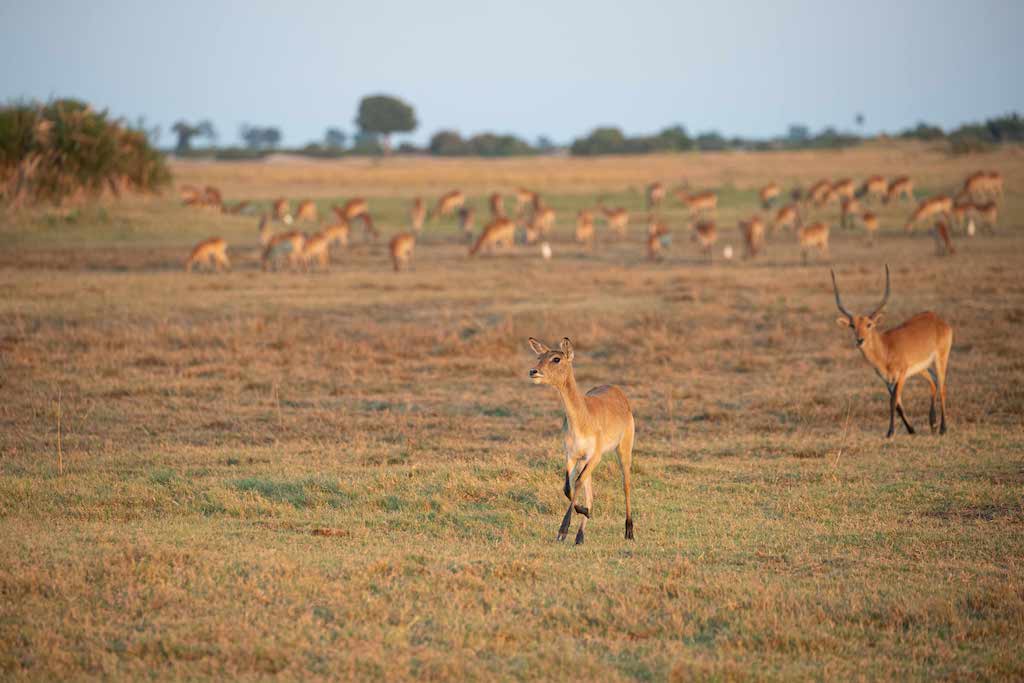 Botswana