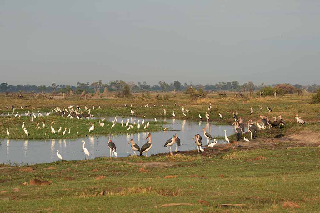 Botswana