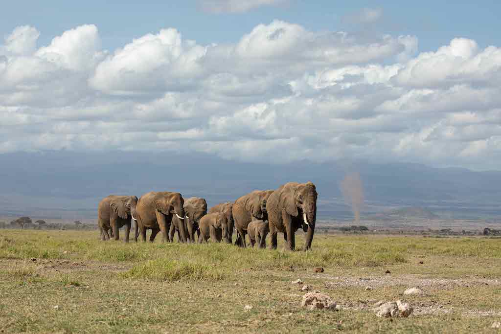 Kenya