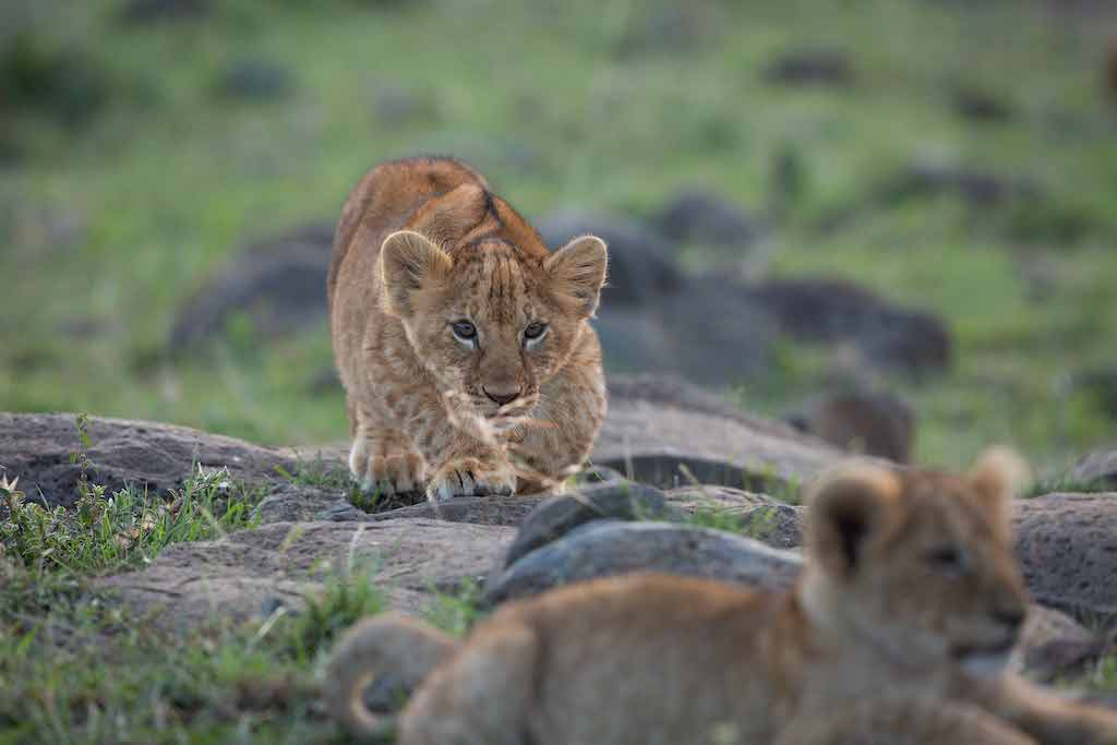Kenya