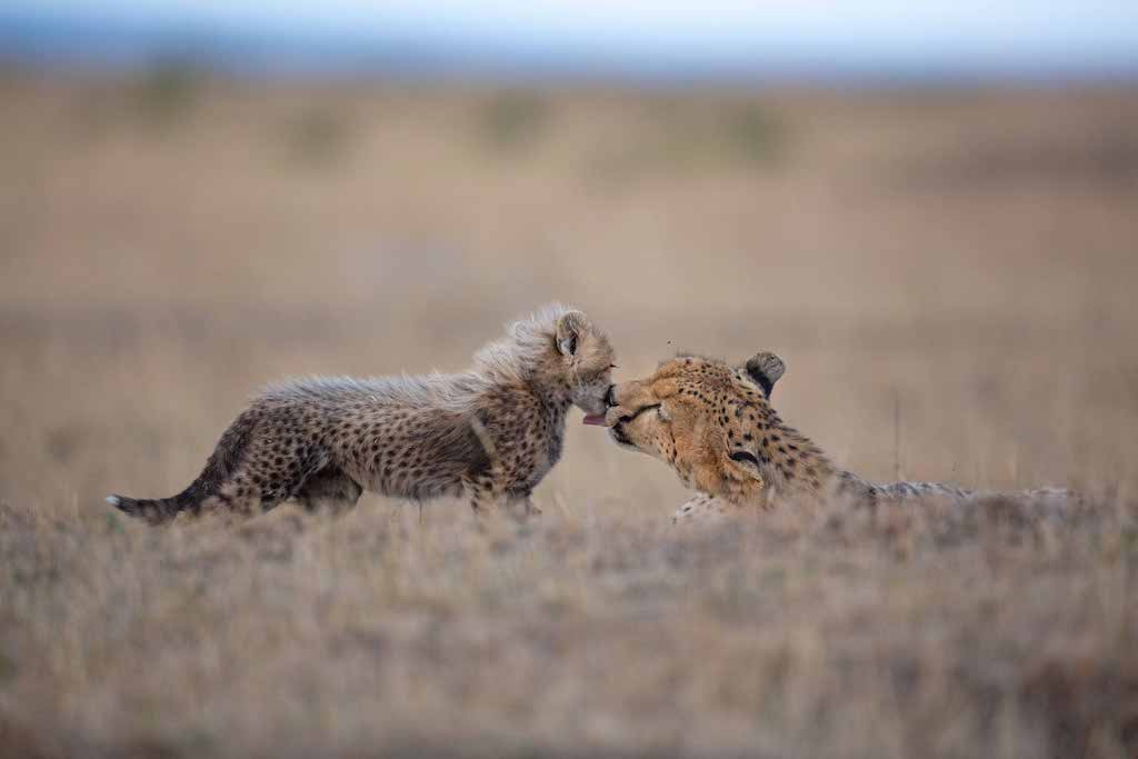 Kenya
