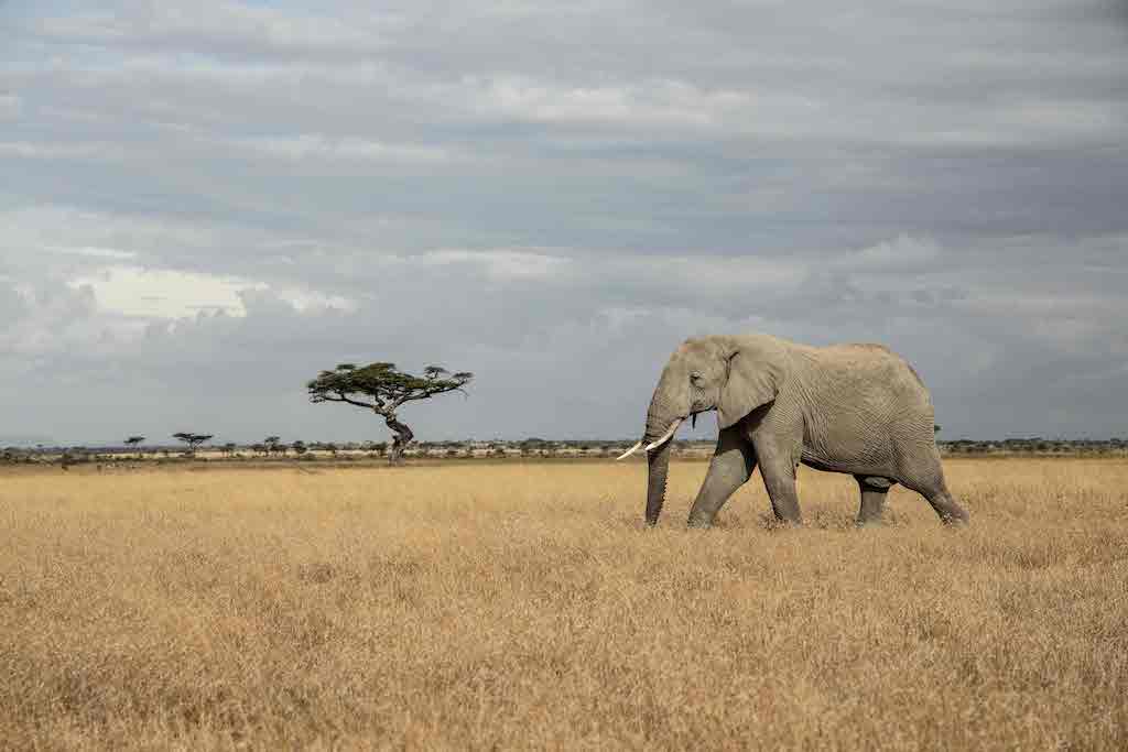 Tanzania