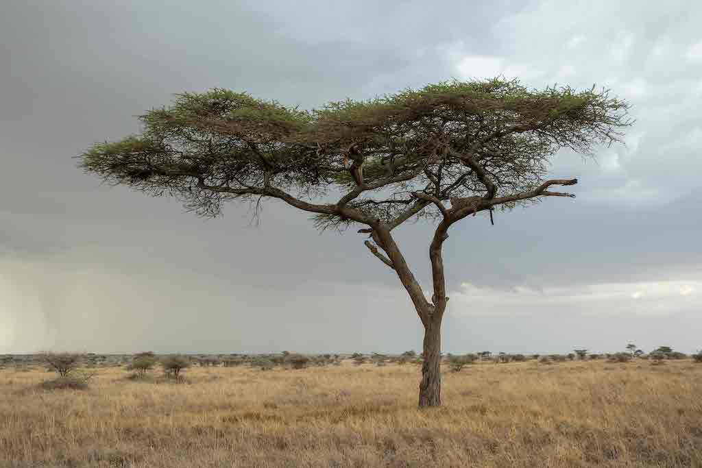 Tanzania