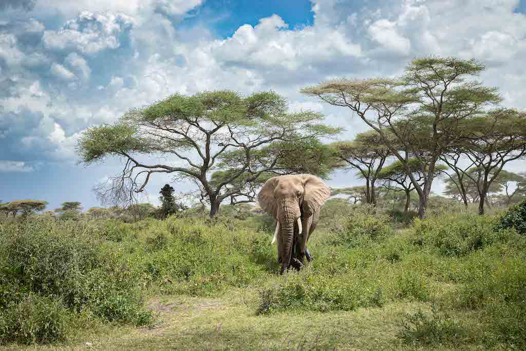 Tanzania