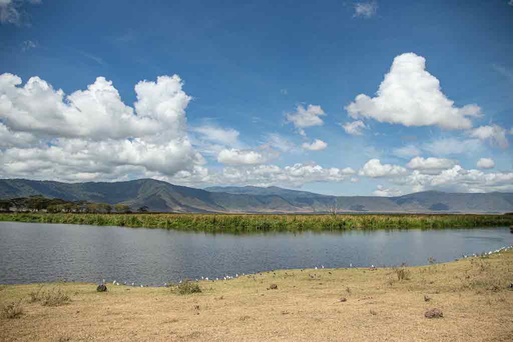 Tanzania
