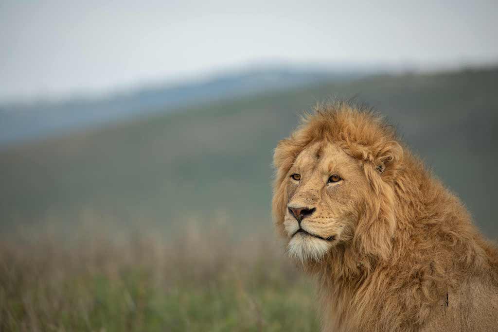 Tanzania