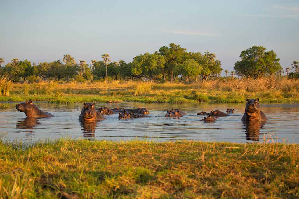 Botswana