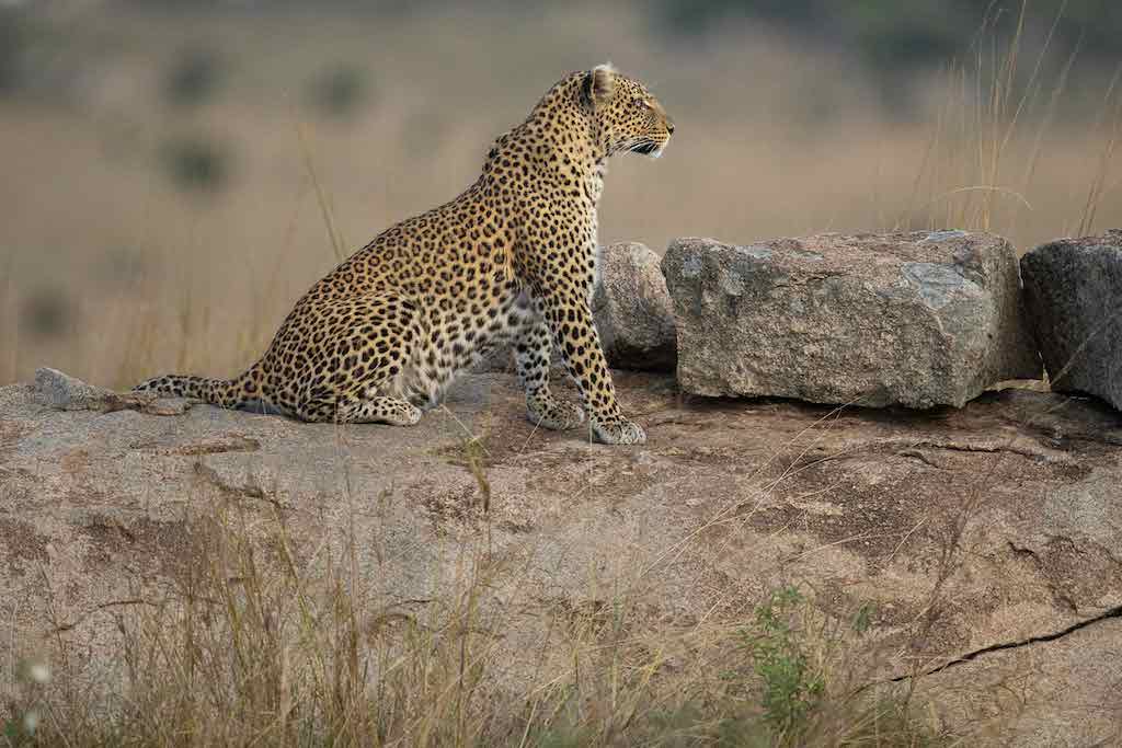 Tanzania