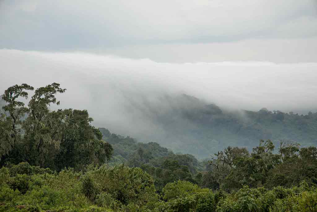 Tanzania