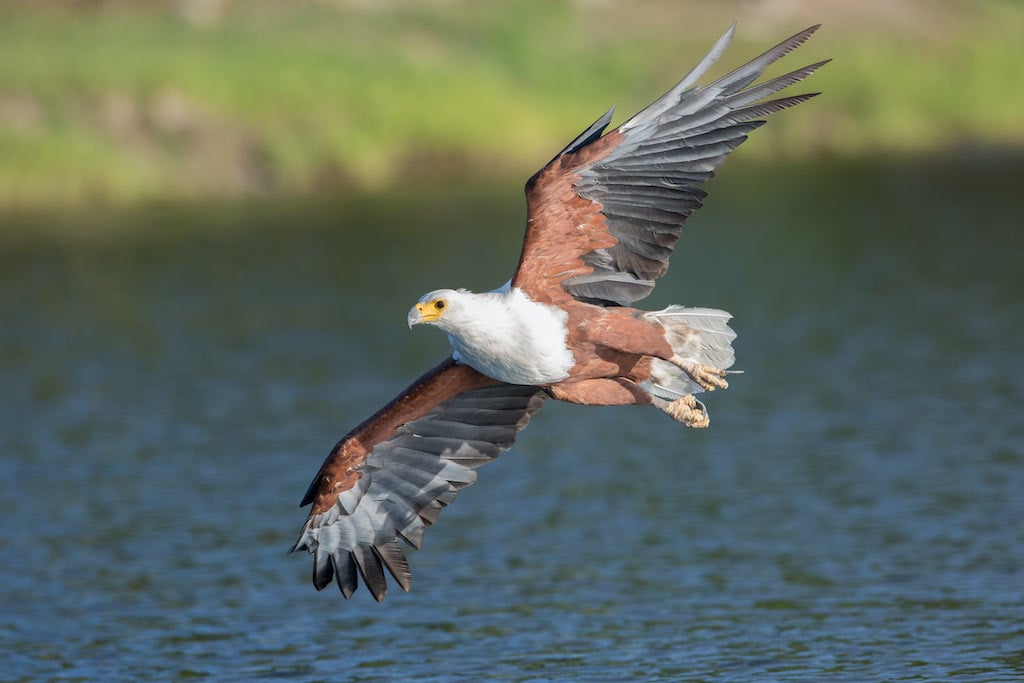 Botswana
