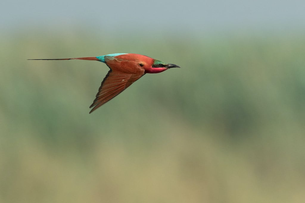 Botswana