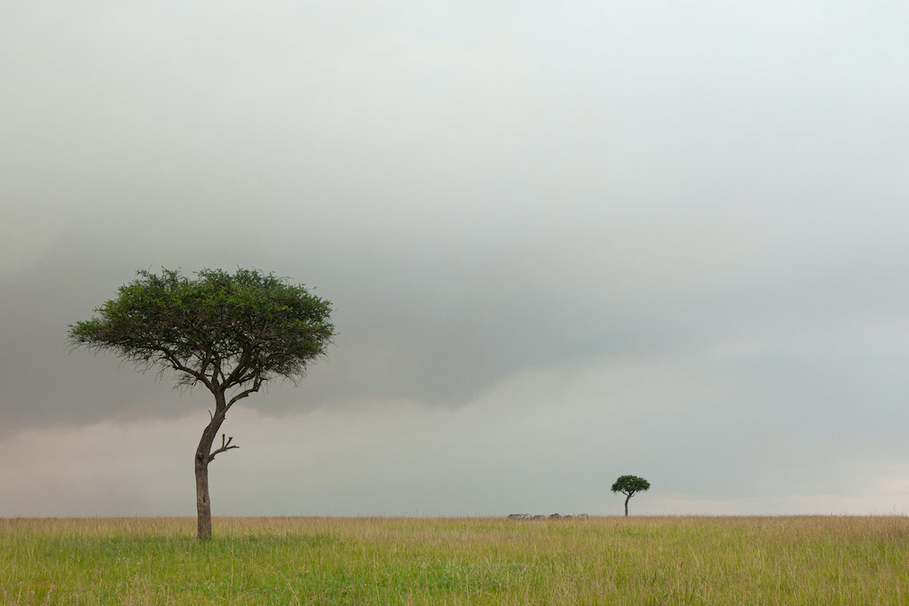 Kenya