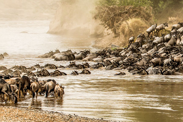 GUIDED DRIVE AND FLY NORTHERN TANZANIA