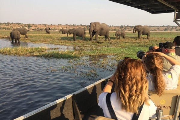 Chobe National Park