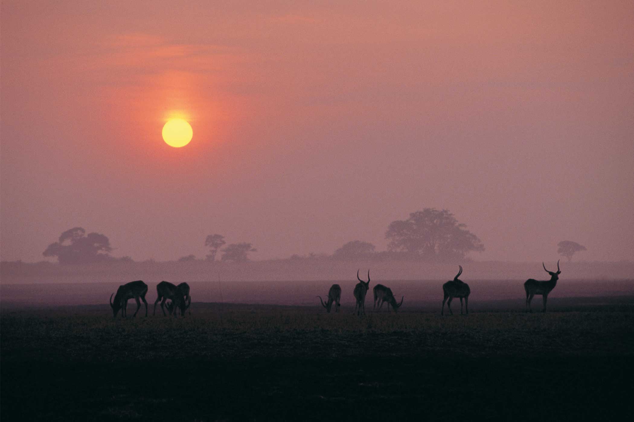 Kafue