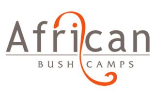 African Bush Camps