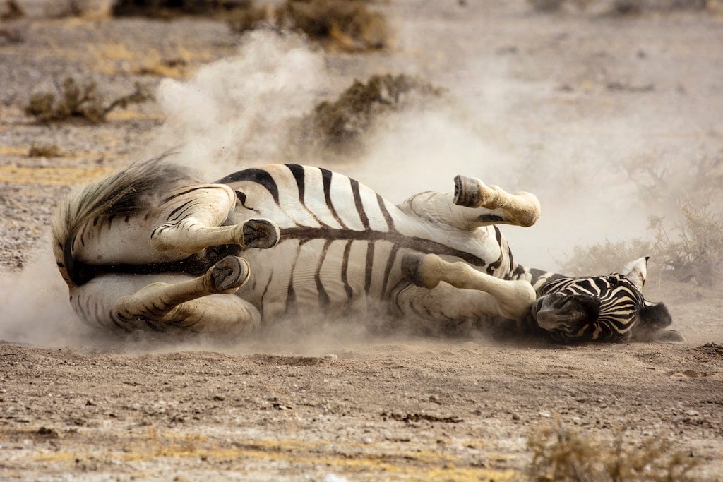 Namibia