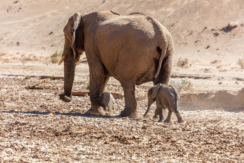 Namibia