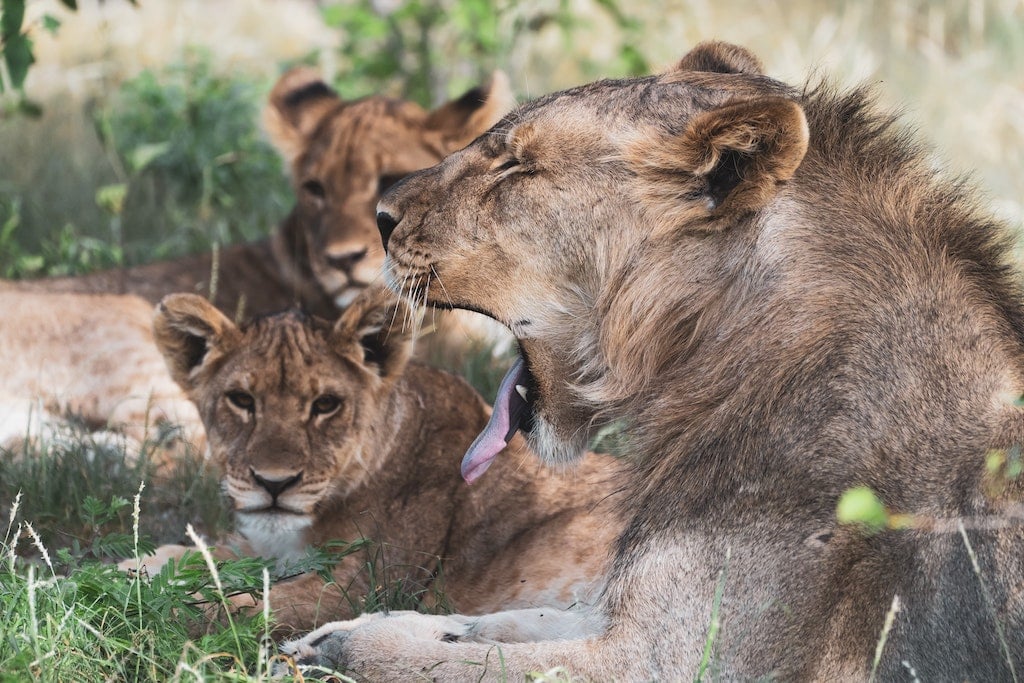 Namibia