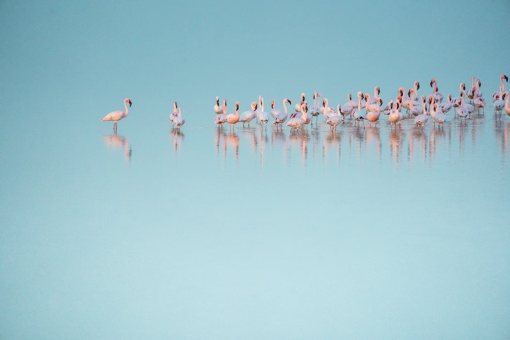 Namibia
