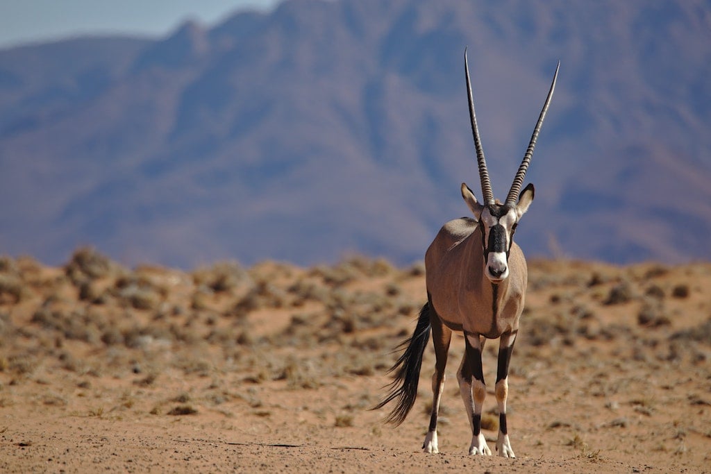 Namibia