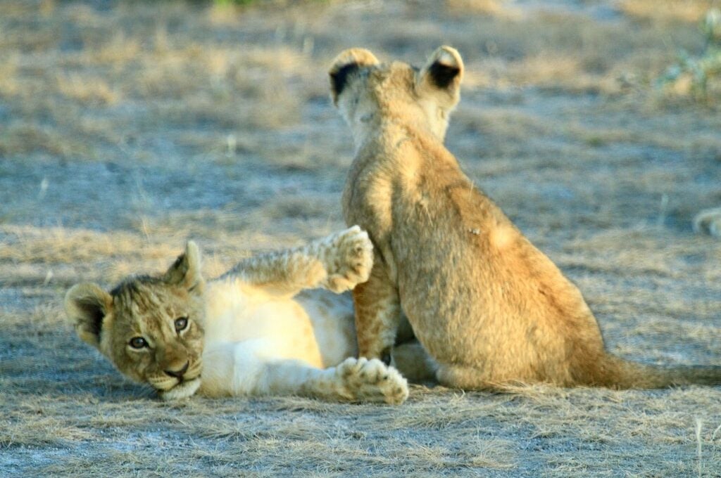 Namibia