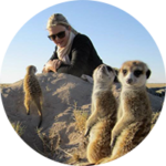 This Itinerary Was Designed By Joanne