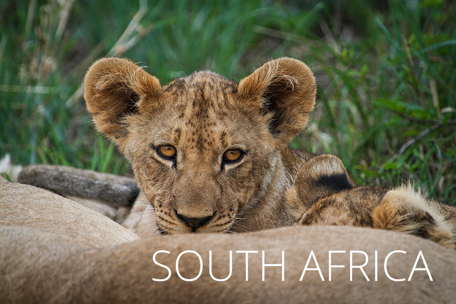South Africa