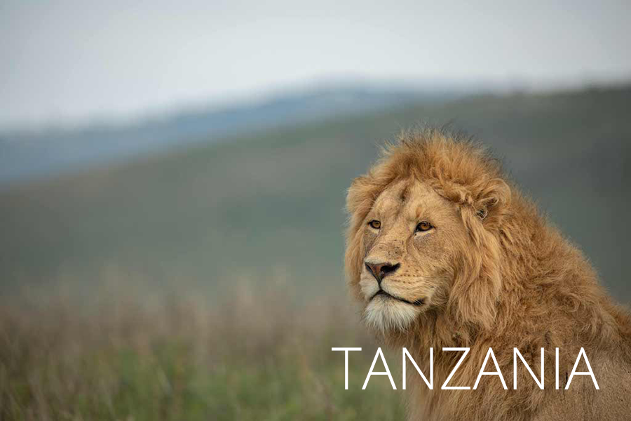 Tanzania