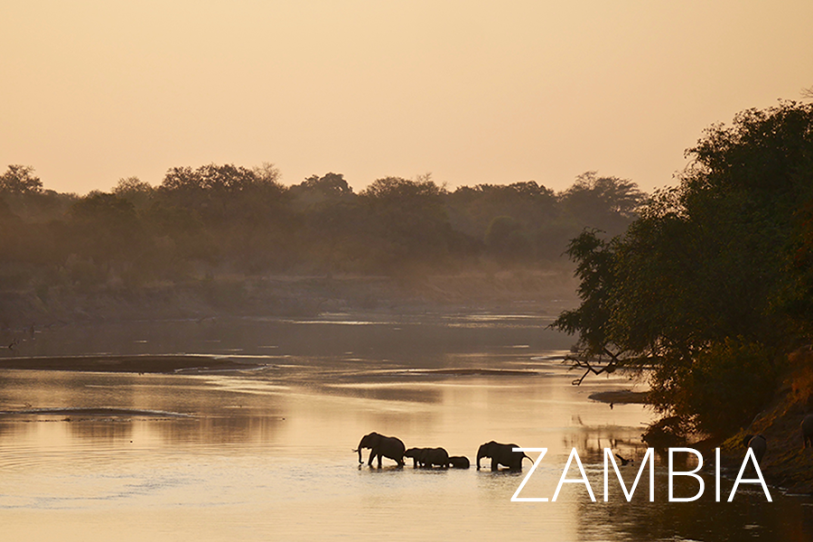 Zambia