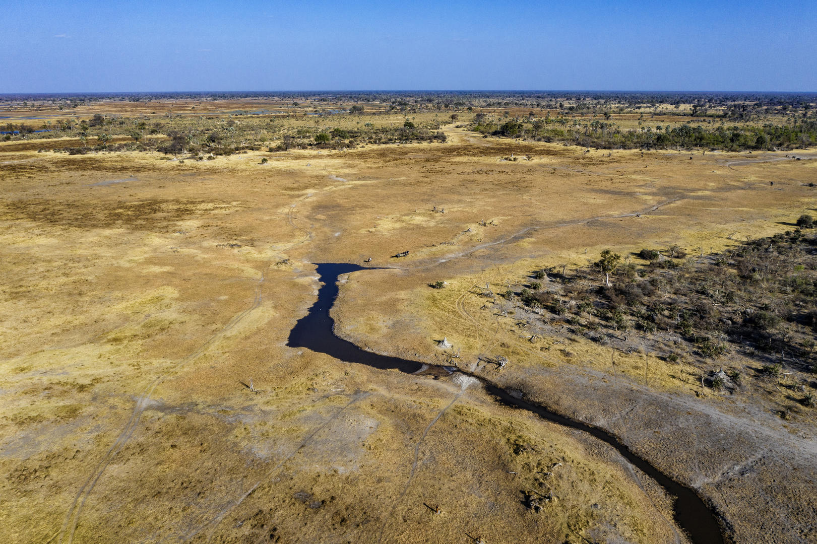 GOMOTI PLAINS CAMP