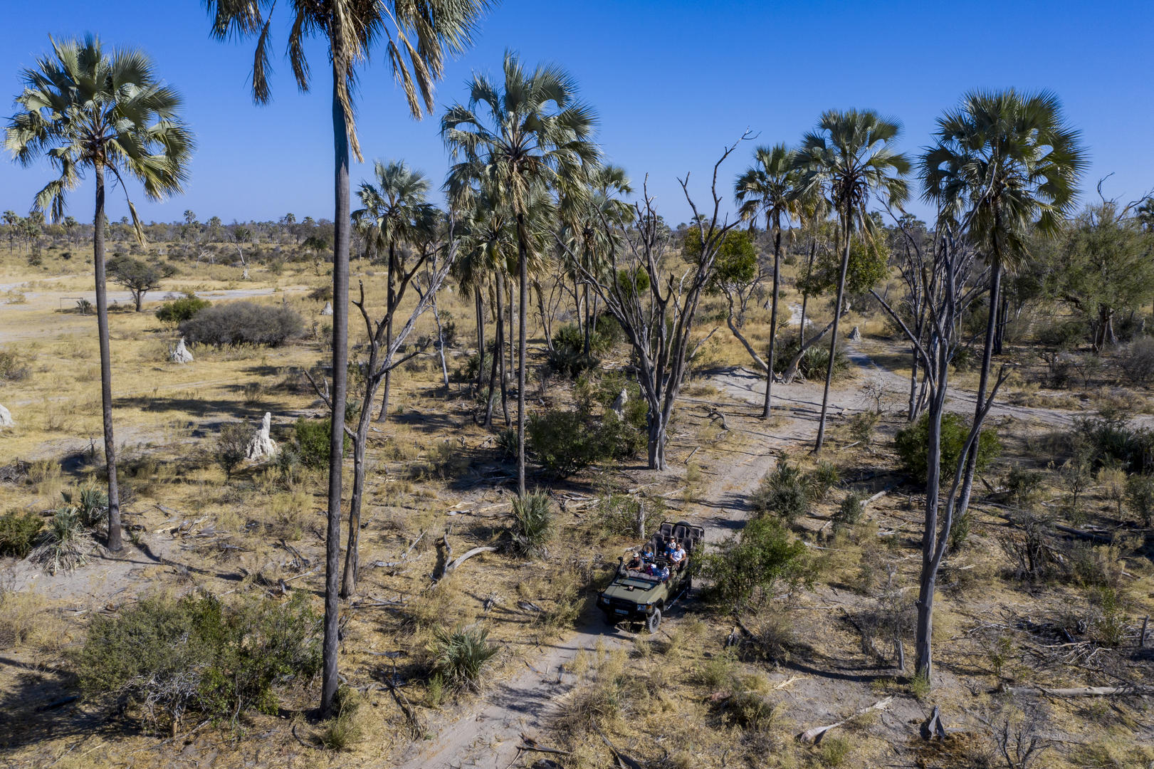 GOMOTI PLAINS CAMP