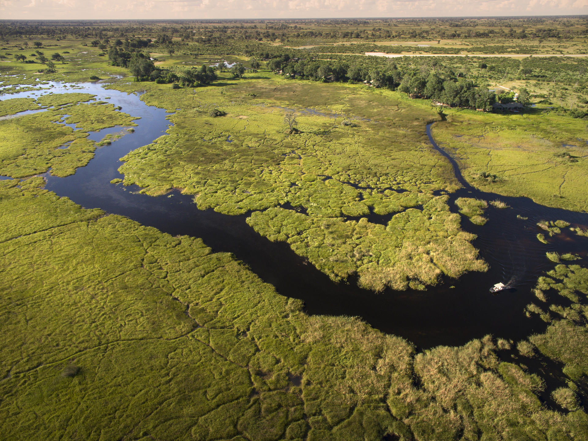 DUBA PLAINS CAMP
