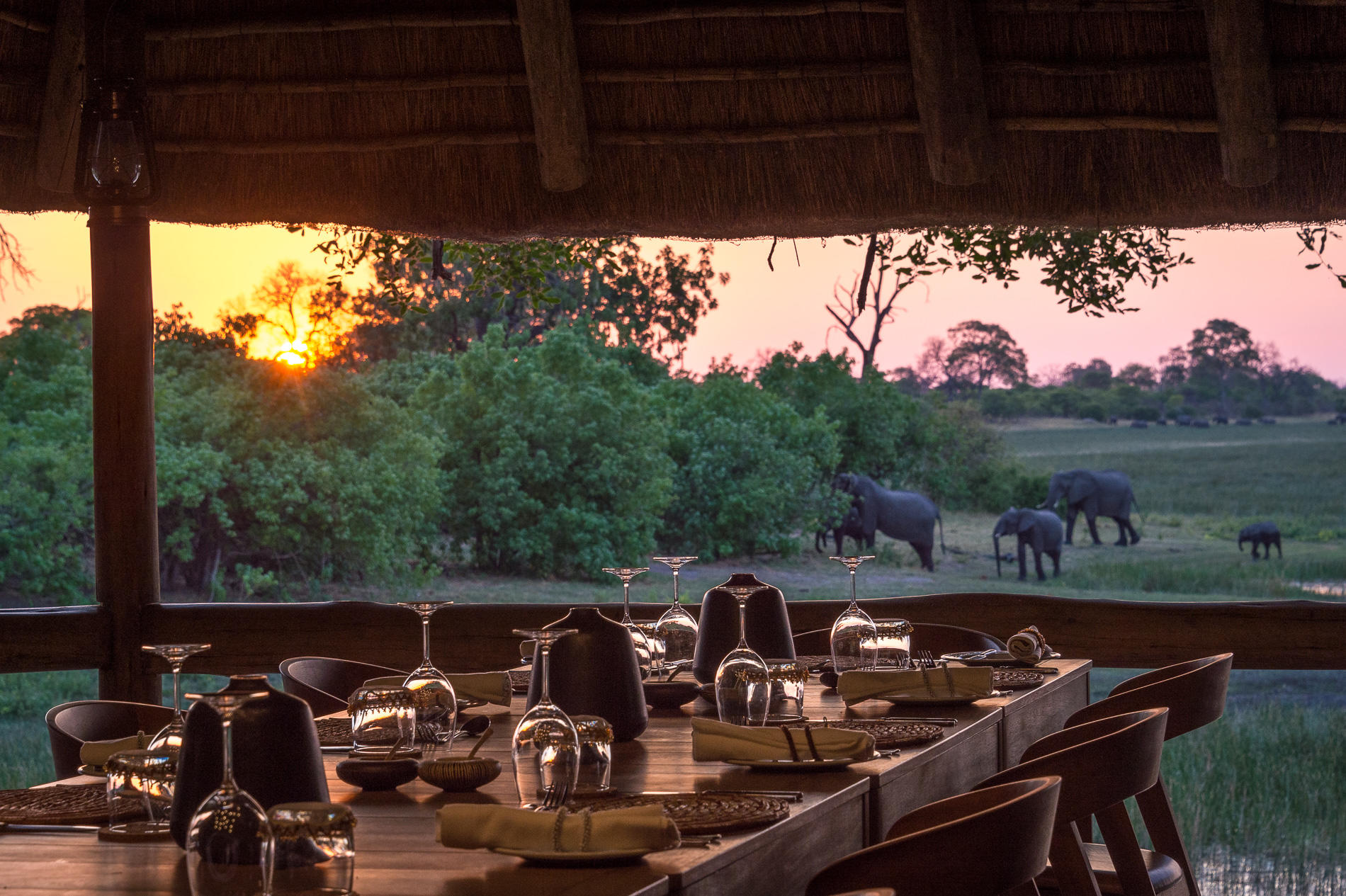 SAVUTI CAMP