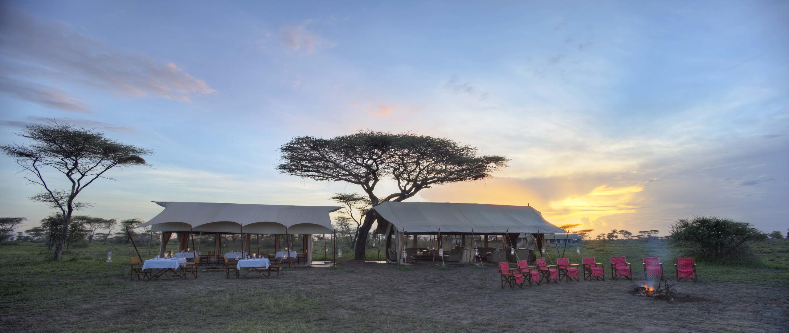 SERENGETI UNDER CANVAS