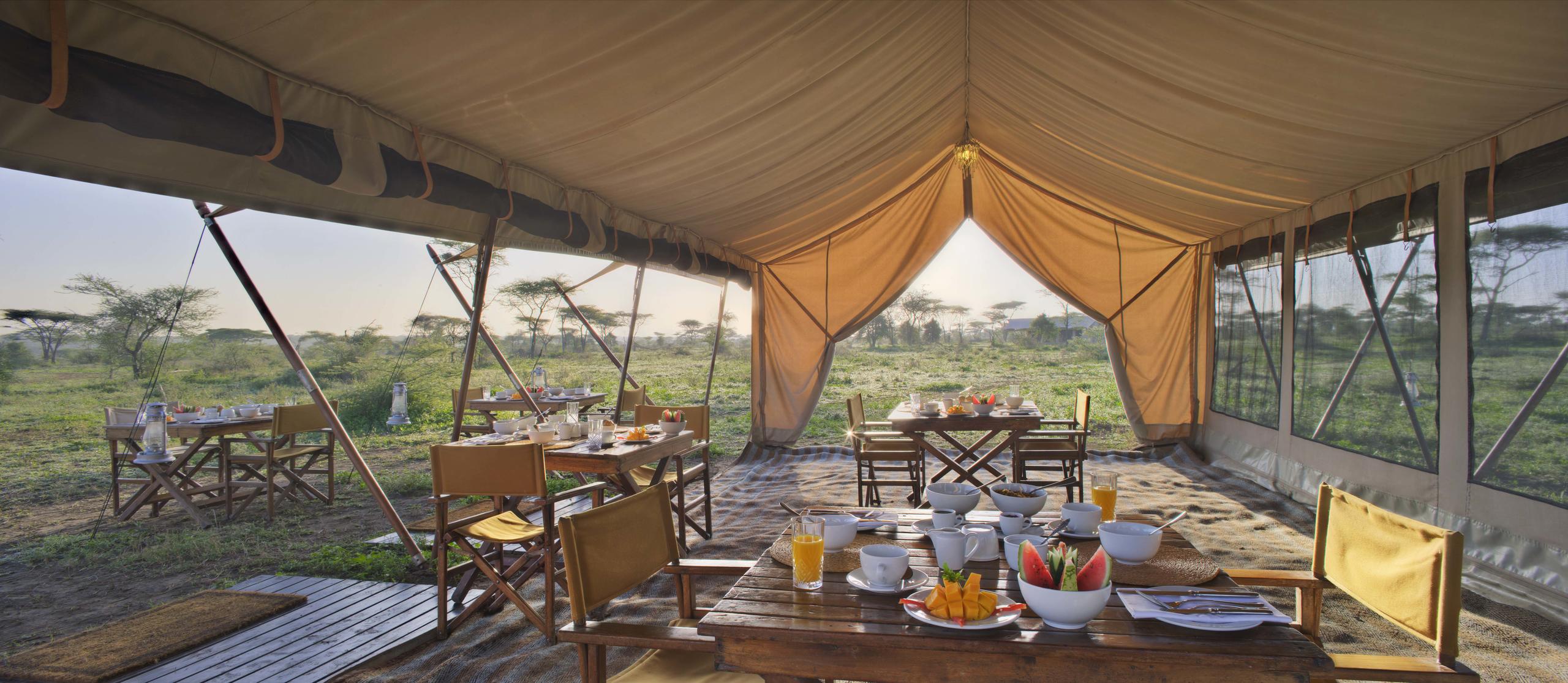 SERENGETI UNDER CANVAS