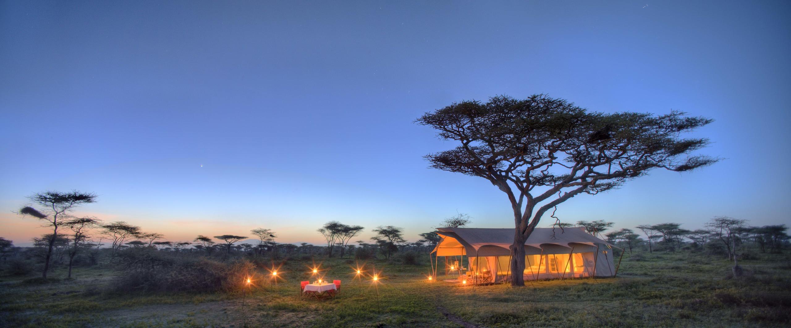 SERENGETI UNDER CANVAS